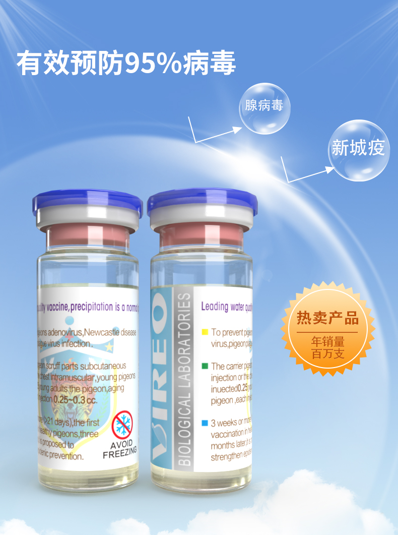 新城疫基因工程滅活水劑信鴿疫苗 科技護(hù)航信鴿健康——中信網(wǎng)鴿業(yè)大全推薦
