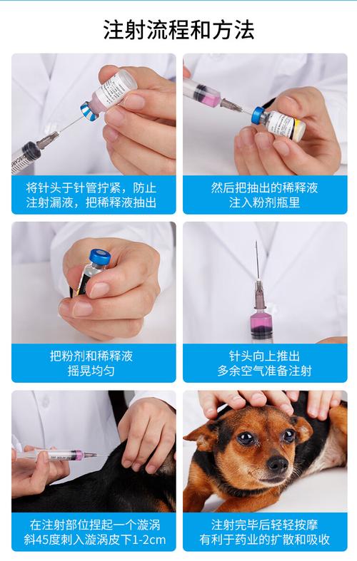 輝瑞衛佳美國狗狗狂犬疫苗瑞必威預防針寵物狗狗小狗幼犬細小犬瘟衛佳